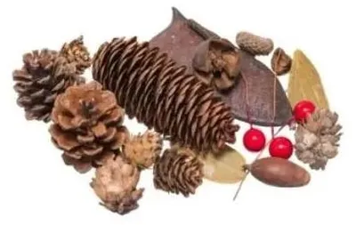 Zdjęcie produktu dla Susz Dekoracyjny 30G