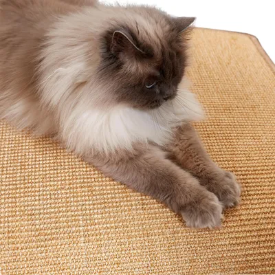 Image de Omgoods - Tapis en sisal pour chat, 60 x 80 cm, beige