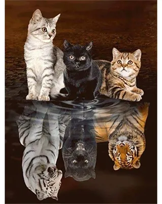 Produktbild von PRACHT CREATIVES HOBBY,KAUFBEU Drei Katzen     0