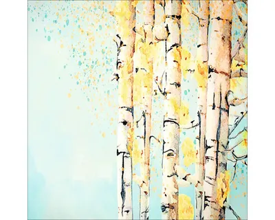 Produktbild von Glasbild Birken GLA2566 50x50 cm