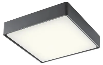 Image de Marina Pl Led Smd