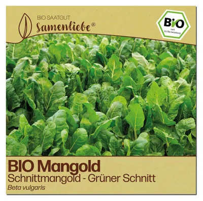 Produktbild von Samenliebe  Mangold Samen | Schnittmangold - winterhart & grün & zart - samenfestes  Saatgut