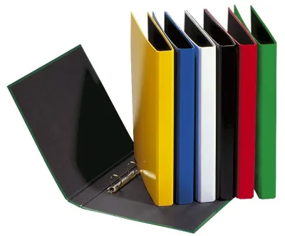 Image de Pagna® 20607-09 Ringbuch Basic Colours - A4, 2 anneaux, anneau Ø 20mm, orange(P)