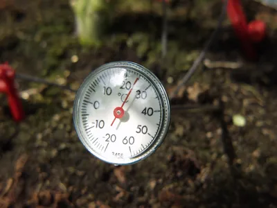 Produktbild von Erdthermometer