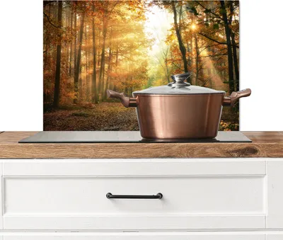 Obrázok produktu pre KitchenYeah® splashback kuchyňa - kuchynský splashback - ochrana steny sporáka a drezu - les - jeseň - slnko - krajina - príroda - stromy - lístie 70x50 - hliníkový dibond (alternatíva k sklenenému splashbacku)