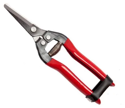Image de CISEAUX COGLIUVA 19, lames de 19 cm