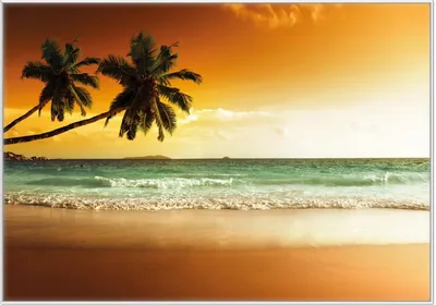 Produktbild von Wallario Wandbild Palmen am Sandstrand bei untergehender Sonne, Größe: 70,30 x 100,30 cm, Poster mit weißem Kunststoffrahmen