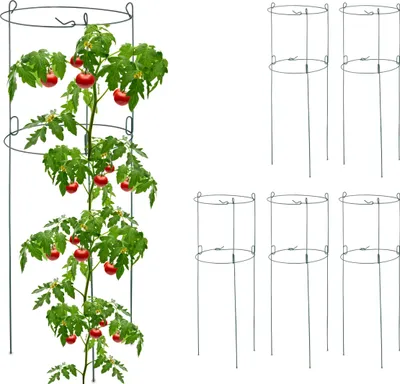 Produktbild von Relaxdays Rankhilfe 6er Set, Metall, runde Pflanzenstütze Tomaten & Gurken, HxD: 76 x 26 cm, 2 Ringe, Gurkenturm, grün