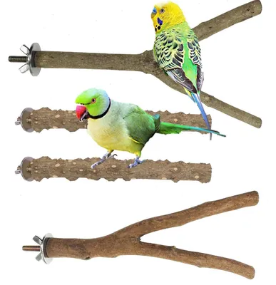 Image de Ensemble de 4 perchoirs en bois naturel pour cages, jouet d'escalade, 15-20 cm