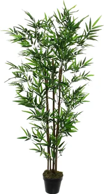 Obrázok produktu pre Sľudové dekorácie Bambusová umelá rastlina - H150 x Ø85 cm - zelená