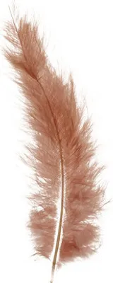 Produktbild von GLOREX Marabou, 15 Stück(e), 2 g