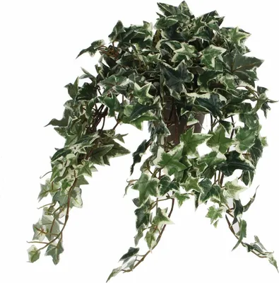 Obrázok produktu pre Mica Decorations umelá rastlina brečtan v kvetináči Stan - V45 x Ø25 cm - zelená, farebná
