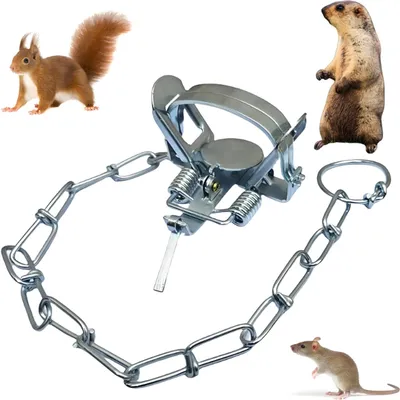 Produktbild von Federfalle für kleine 𝐀𝐧𝐢𝐦𝐚𝐥 𝐓𝐫𝐚𝐩𝐬 Falle Rattenfalle Maulwurfsfalle für Bauernhöfe Höfe Gärten Outdoor Nagetierkäfig
