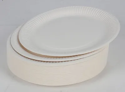 Produktbild von Pappteller 100er Packung Weiß Einwegteller Einwegschalen Papier Party Feste