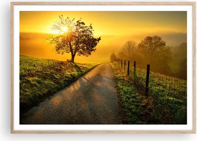 Produktbild von Gerahmtes Poster - Rahmen in heller Eiche - Feld Straße Baum - 100x70 cm - Wand Bild - Wanddeko - Wandbilder - Wandposter - Bilderrahmen - Bilder - Kunstdruck - Wandbild - P2NAA100x70-3851