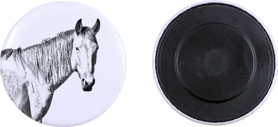 Produktbild von Namib-Wüstenpferd - Magnet mit Pferd, ein einzigartiges Abdruck des Pferdes der Marke Art-Dog