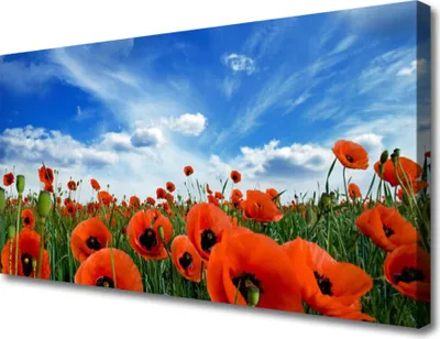 Produktbild von Tulup Leinwand-Bilder 100x50 Wandbild Canvas Kunstdruck Wiese Mohnblumen Pflanzen
