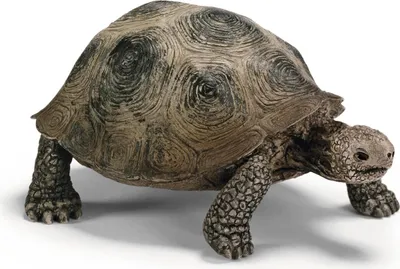 Produktbild von Riesenschildkröte Schleich 14601