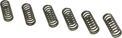 Immagine prodotto di Kit 6 molle frizione EBC CSK198 per Suzuki