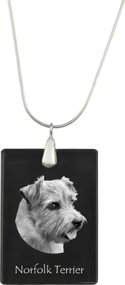 Image de Norfolk Terrier - Pendentif en cristal avec chien, collier en argent avec photo, pendentif personnalisé de la marque Art-Dog