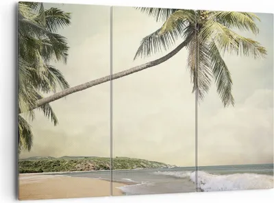 Produktbild von Bild auf Leinwand - Leinwandbild - 3 Teile - Palme Strand Insel - 165x110cm - Wand Bild - Wanddeko - Wandbilder - Leinwanddruck - Bilder - Wanddekoration - Leinwand bilder - Wandbild - CE165x110-4154