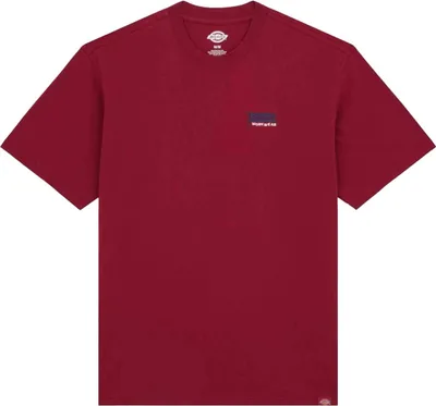 Produktbild von T-Shirt Dickies DK0A87QDK741-2FW5 für Herren