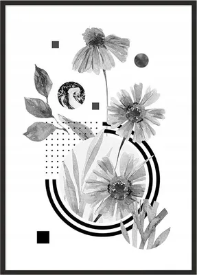 Immagine prodotto di Poster fotografico in cornice 53x73 cm Fiori P996