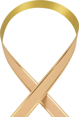 Produktbild von Kräuselband Geschenkband Apricot 19mm 100m Goldrand