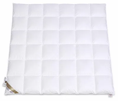 Produktbild von Betten Hofmann Luxus Daunendecke Daunenbett 6x6 200x200 cm warme Ganzjahresdecke