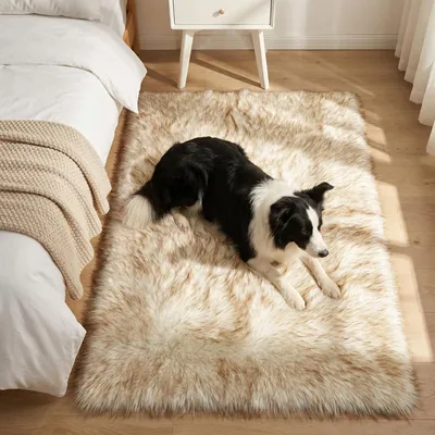 Obrázek produktu pro Omgoods – Měkká, protiskluzová podložka, kterou lze prát, vhodná do obývacího pokoje a ložnice (120x180 cm)