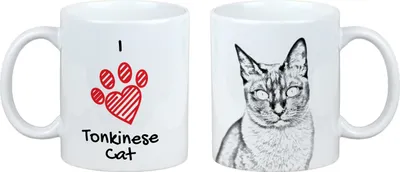 Immagine prodotto di Art-Dog Tazza in Vetroceramica – Gatto Tonkinese