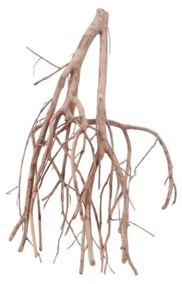 Produktbild von Aquarium Wurzel XL 40x19x70 cm, filigran, sinkend, Unikat für Aquascaping