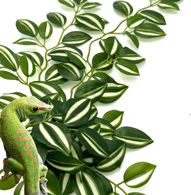 Produktbild von BioBush No2 künstliche tropische Pflanze für Terrarien, Dreimasterblume