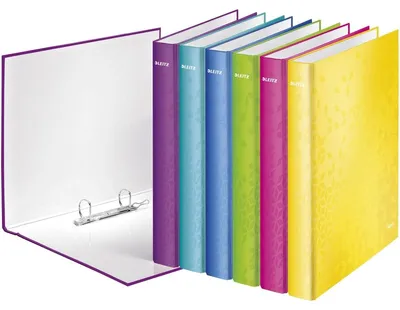 Image de 1x Leitz 4241-20-99 4241 Classeur à anneaux WOW, A4 maxi, PP, 2 anneaux Ø25 mm, assortis