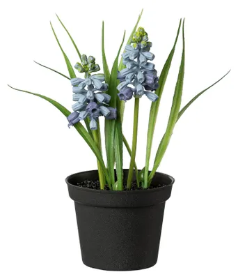 Produktbild von Kunstpflanze MUSCARI im Topf ca. 17cm. Traubenhyazinthe getopft. BLAU