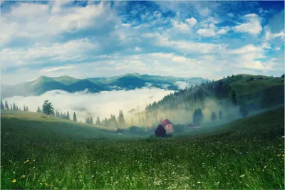 Produktbild von Wallario Poster - Morgennebel zwischen Berghängen, Kunstdruck Größe: 100 x 150 cm