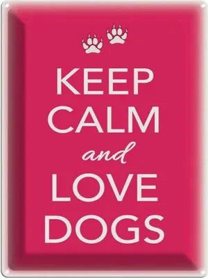Produktbild von vianmo Blechschild 40x30 cm Keep Calm and love dogs Hund
