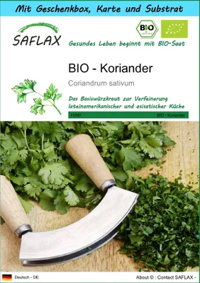 Produktbild von SAFLAX Geschenk Set - BIO - Koriander - Coriandrum sativum - 150 Samen - Mit Geschenkbox, Versandaufkleber, Geschenkkarte und Anzuchtsubstrat