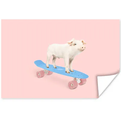 Produktbild von MuchoWow® Poster Schwein - Rosa - Skateboard - Blau - Tiere 60x40 cm - Schlafzimmerdekoration