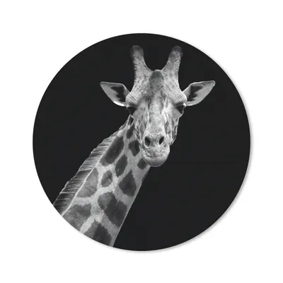 Produktbild von MuchoWow® Mauspad Mousepad Giraffe - Wildtiere - Schwarz-Weiß - Porträt 40x40 cm - Mousepads - Maus Mat - Pad - Mausunterlage - Schreibtisch Accessoires