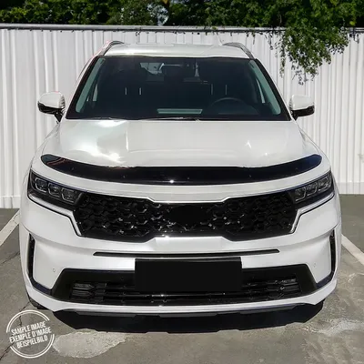 Obrázok produktu pre Deflektor kapoty proti hmyzu pre Škoda Karoq 2017-2019 Dark