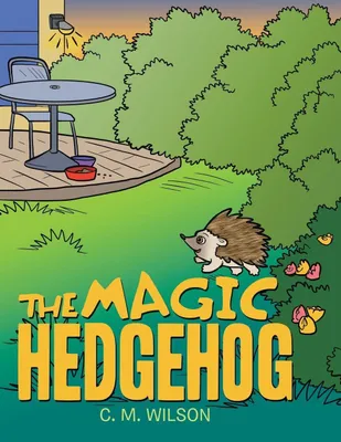 Produktbild von The Magic Hedgehog