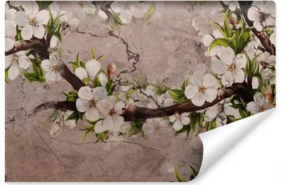 Produktbild von Muralo Selbstklebende Fototapete Kirschblüten BLUMEN Beton Natur Wanddeko 368 cm x 280 cm