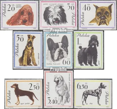 Produktbild von Briefmarken Polen 1963 Mi 1374-1382 (kompl.Ausg.) gestempelt Hunderassen