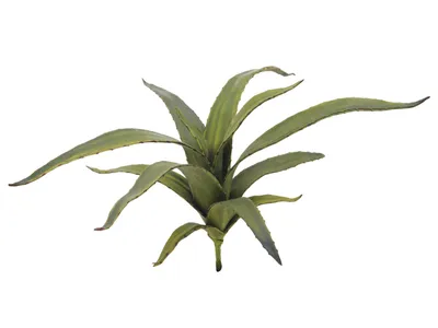 Obrázek produktu pro EUROPALMS Aloe (EVA), umělá, zelená, 66 cm (82530571)