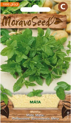 Zdjęcie produktu dla Peppermint 71728