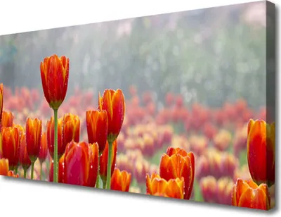 Produktbild von Tulup Leinwand-Bilder 100x50 Wandbild Canvas Kunstdruck Tulpen Pflanzen