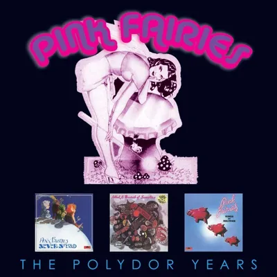 Produktbild von The Polydor Years