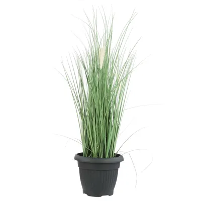 Produktbild von Blumentopf Rund Übertopf Blumenkasten Abmessungen (DxH) 30 cm x 23,5 cm Volumen 8 L Farbe Anthrazit Kunststoff 12 Große Pflanzkübel traditionell