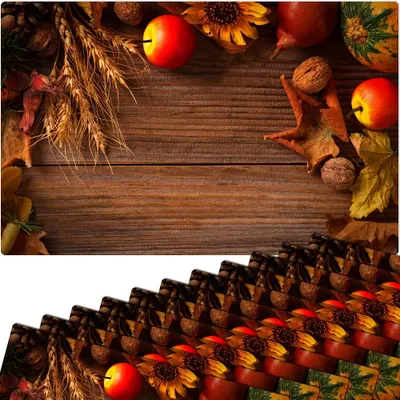 Produktbild von Abwaschbare Tischsets 12er Set Landhaus-Stil Herbst-Ernte Holz-Optik